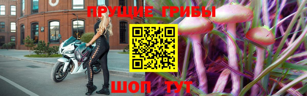 Псилоцибиновые грибы мицелий Кудымкар