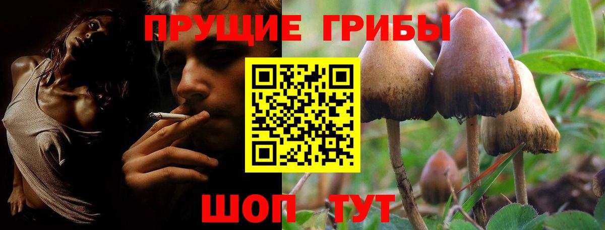 Галлюциногенные грибы мухоморы  купить  сайты  Кудымкар  Вход с VPN  Галлюциногенные грибы GOLDEN TEACHER 